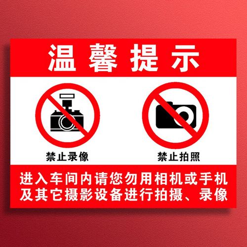 蕭以墨 工欲善其事，必先‘密’其境——論工廠車間‘禁止拍照攝像’標(biāo)識的深層價值